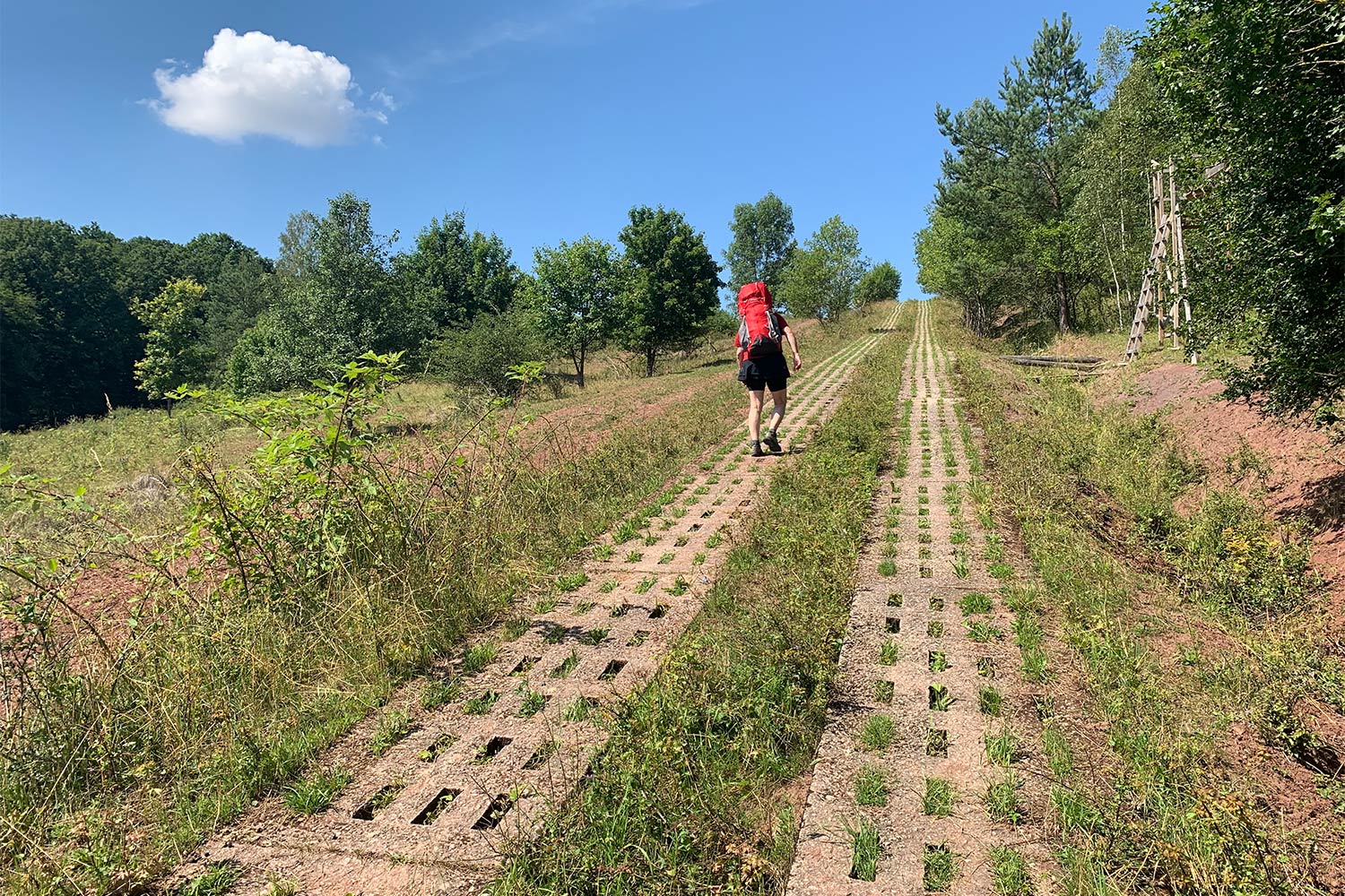 2020 Grünes Band: Kolonnenweg bei Straufhain (Foto: Andreas Kuhrt)