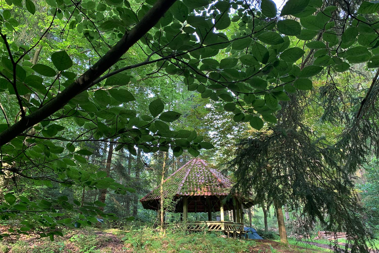 2020 Grünes Band: Rastplatz Kupferbrunnen bei Bad Colberg (Foto: Andreas Kuhrt)