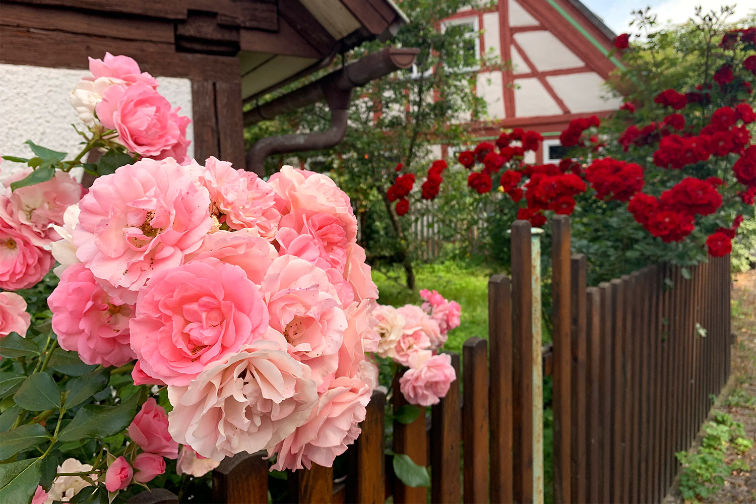 2020 Grünes Band: Ummerstadt (Foto: Andreas Kuhrt)