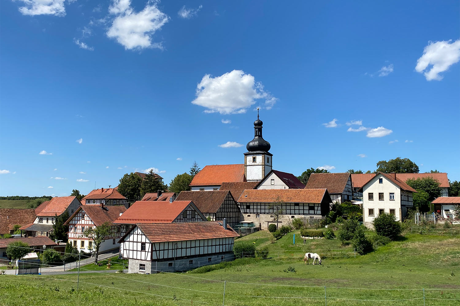 2020 Grünes Band: Schweickershausen (Foto: Manuela Hahnebach)