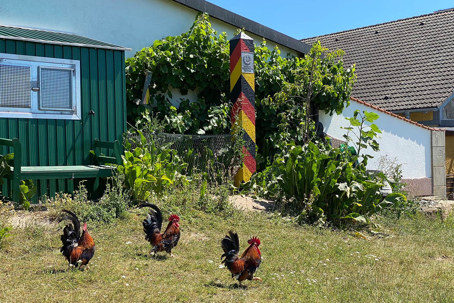 2020 Grünes Band: In Trappstadt (Foto: Manuela Hahnebach)