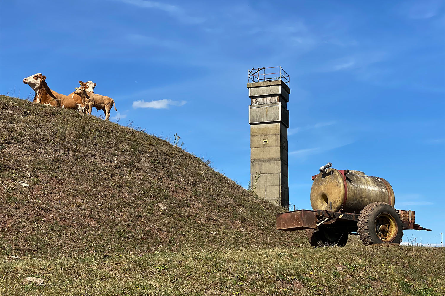 2020 Grünes Band: Grenzturm bei Milz (Foto: Manuela Hahnebach)