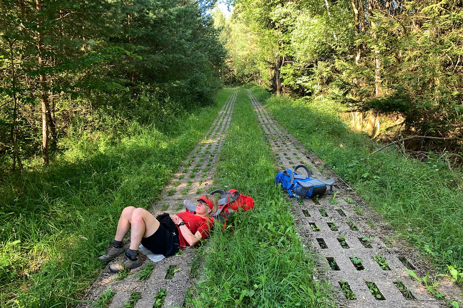 2020 Grünes Band: Kolonnenweg bei Schweickershausen (Foto: Andreas Kuhrt)
