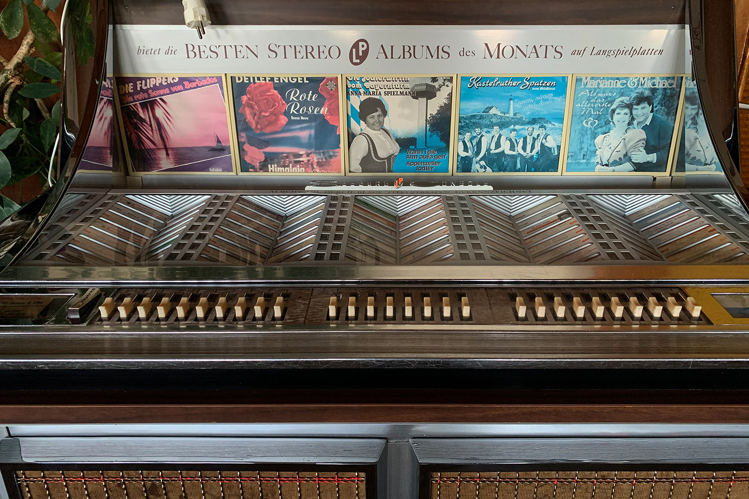 2020 Grünes Band: Musicbox im Berggasthof "Bayernturm" (Foto: Andreas Kuhrt)