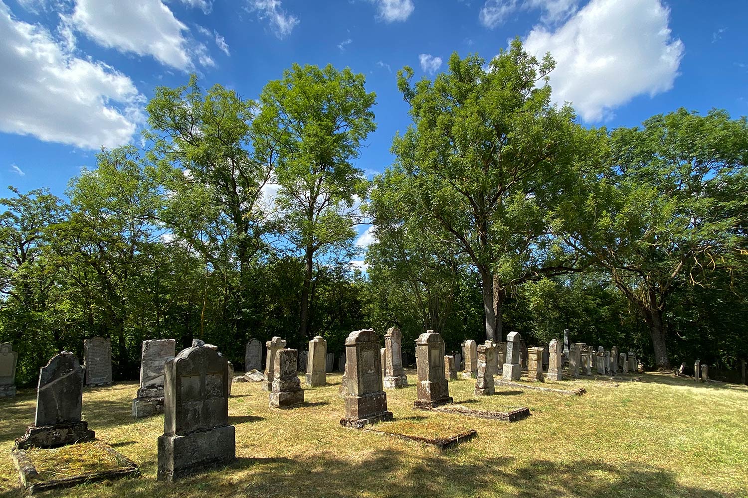 2020 Grünes Band: Jüdischer Friedhof bei Berkach (Foto: Manuela Hahnebach)