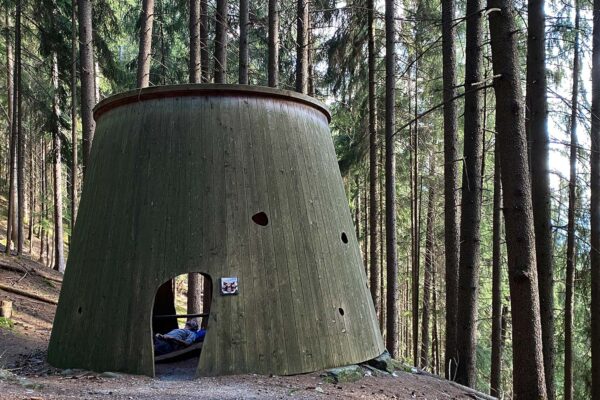 2021 Sand in Taufers, Südtirol: Baumwipfelblick am Naturlehrpfad (Foto: Manuela Hahnebach)