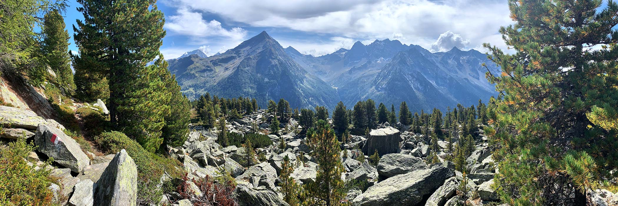 2021 Rein in Taufers, Südtirol: Vegetationsweg (Foto: Andreas Kuhrt)