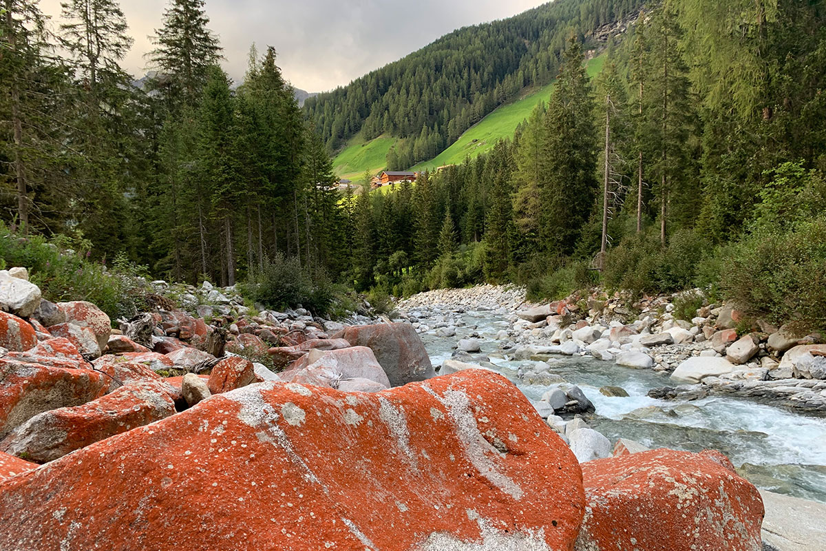 2021 Rein in Taufers, Südtirol: im Bachertal (Foto: Andreas Kuhrt)