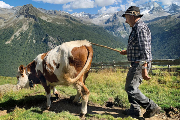 2021 Rein in Taufers, Südtirol: an der Moosmaieralm (Foto: Andreas Kuhrt)