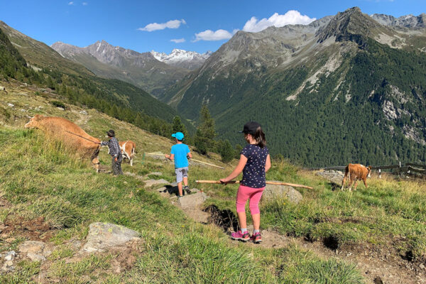 2021 Rein in Taufers, Südtirol: an der Moosmaieralm (Foto: Andreas Kuhrt)