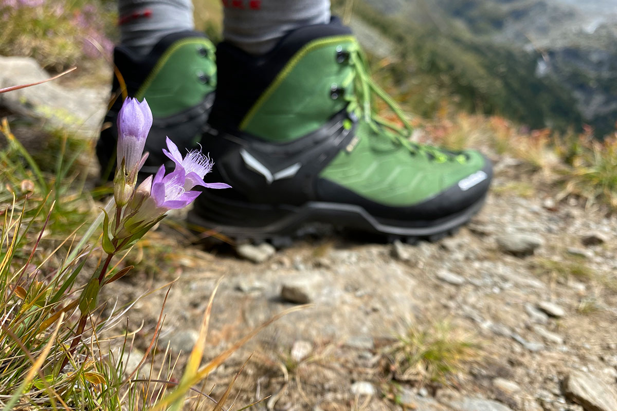 2021 Rein in Taufers, Südtirol: Enzian am Weg (Foto: Manuela Hahnebach)