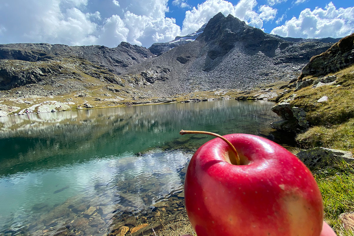 2021 Rein in Taufers, Südtirol: am Malersee (Foto: Manuela Hahnebach)