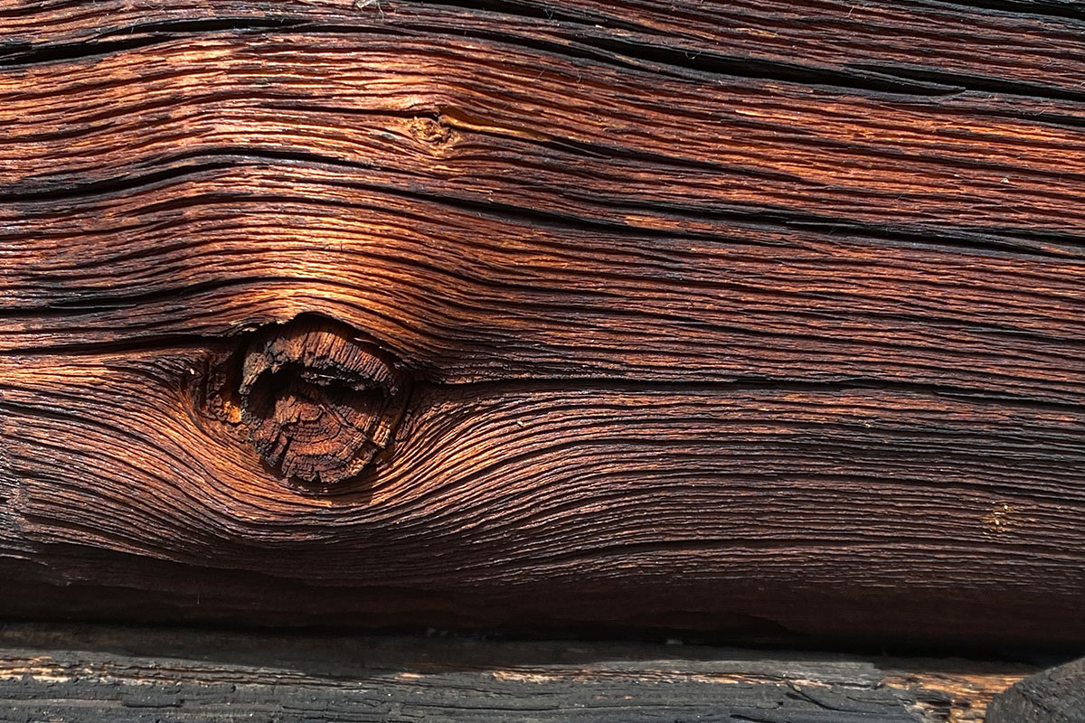 2021 Rein in Taufers, Südtirol: Holzauge am Lobiser Schupfen (Foto: Manuela Hahnebach)