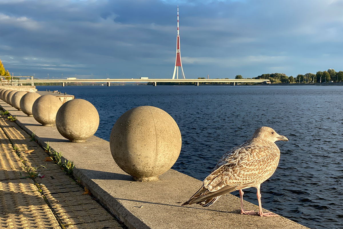 2022 Estland: Riga: Promenade an der Düna (Foto: Andreas Kuhrt)