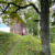 2022 Estland: Viljandi: Ruine Ordensburg Fellin (Foto: Andreas Kuhrt)