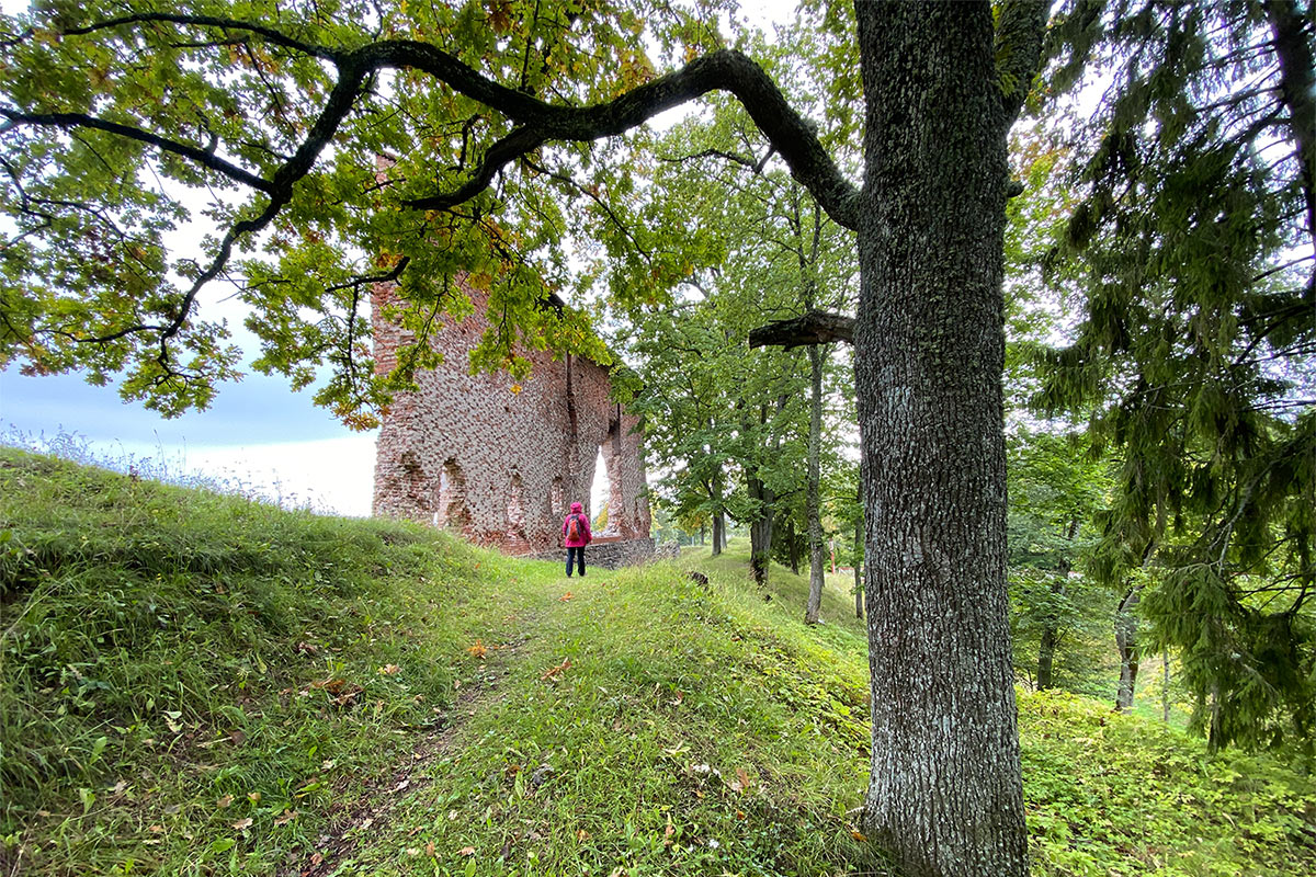 2022 Estland: Viljandi: Ruine Ordensburg Fellin (Foto: Andreas Kuhrt)