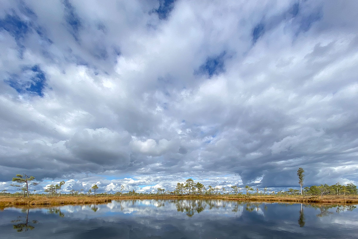 2022 Estland: Soomaa NP: Kuresoo-Moorsee (Foto: Andreas Kuhrt)