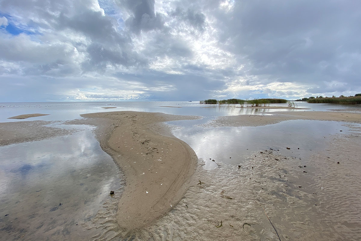 2022 Estland: Peipussee: bei Lohusuu (Foto: Andreas Kuhrt)
