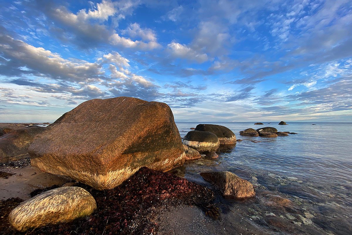 2022 Estland: Hiiumaa: Halbinsel Kõpu: Palli Strand (Foto: Andreas Kuhrt)