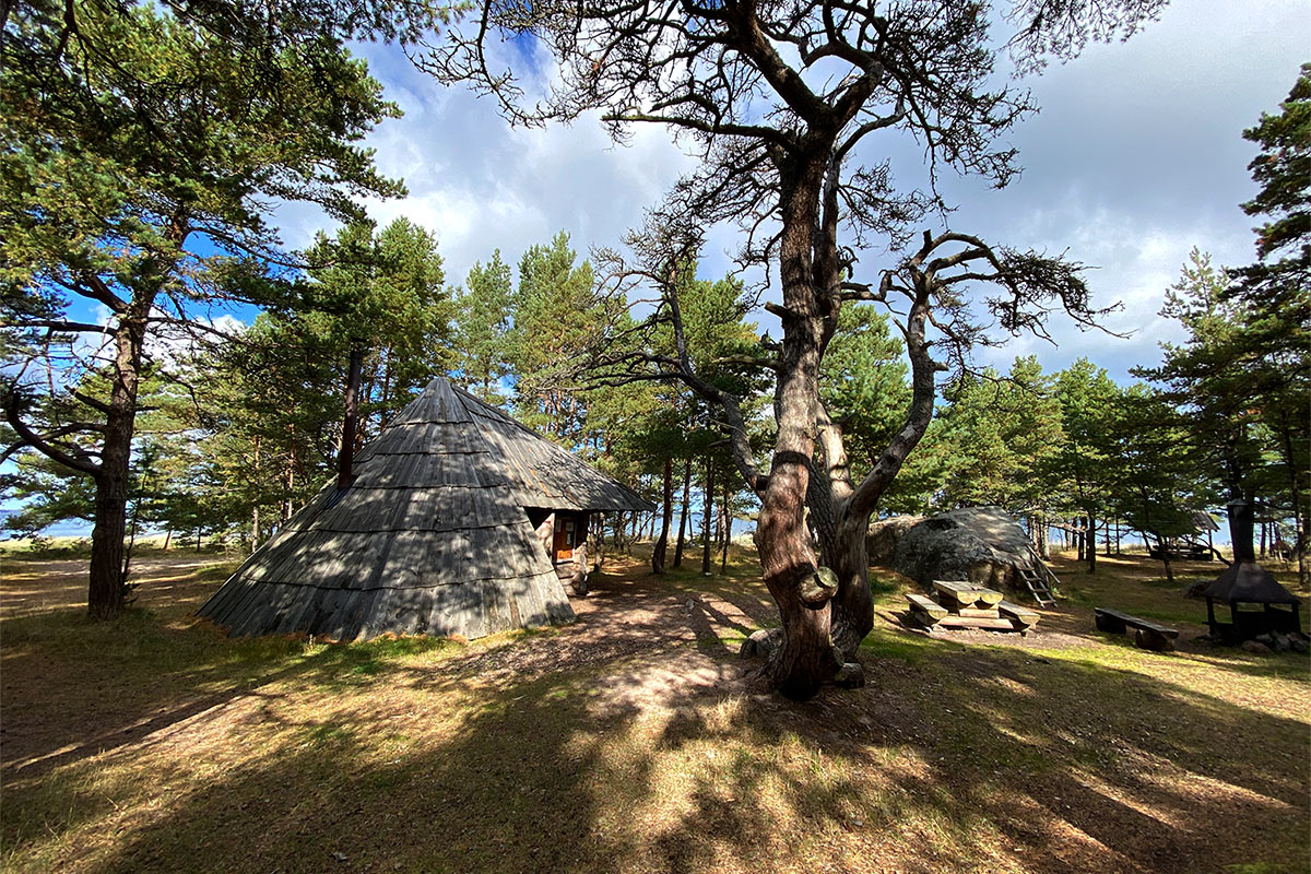 2022 Estland: Hiiumaa: Halbinsel Kõpu: Alurikoja Metsaonn Camping (Foto: Andreas Kuhrt)