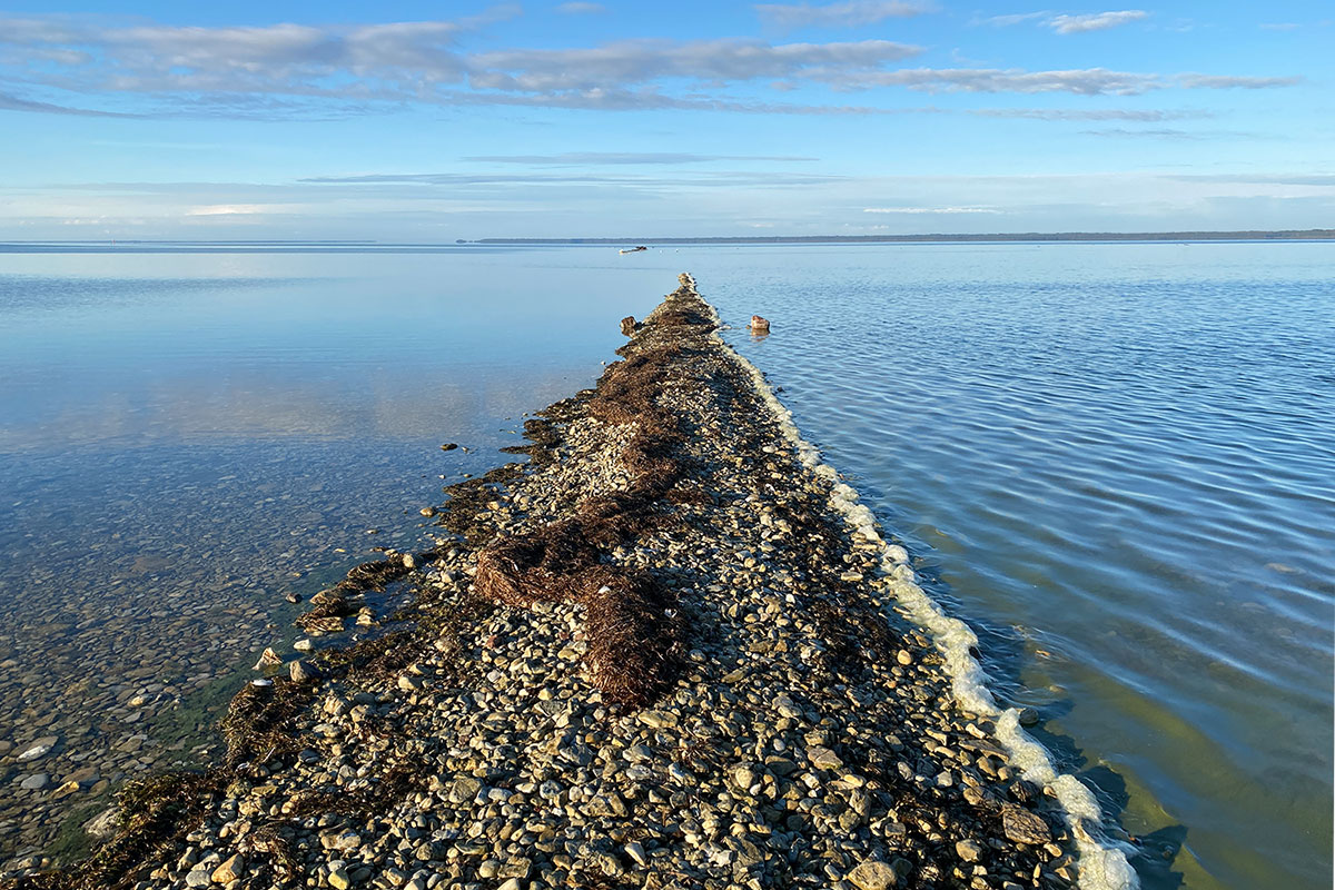2022 Estland: Hiiumaa: Sääre Tirp (Schienbein) (Foto: Andreas Kuhrt)