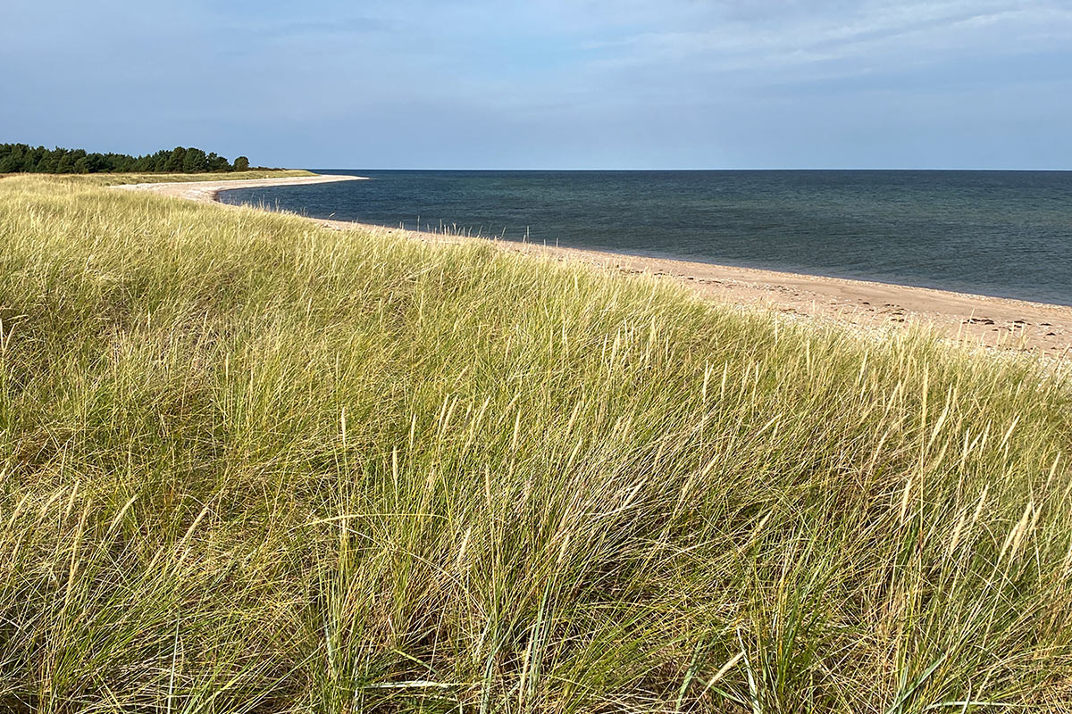 2022 Estland: Saaremaa: Vilsandi NP: Harilaiu Strand (Foto: Andreas Kuhrt)