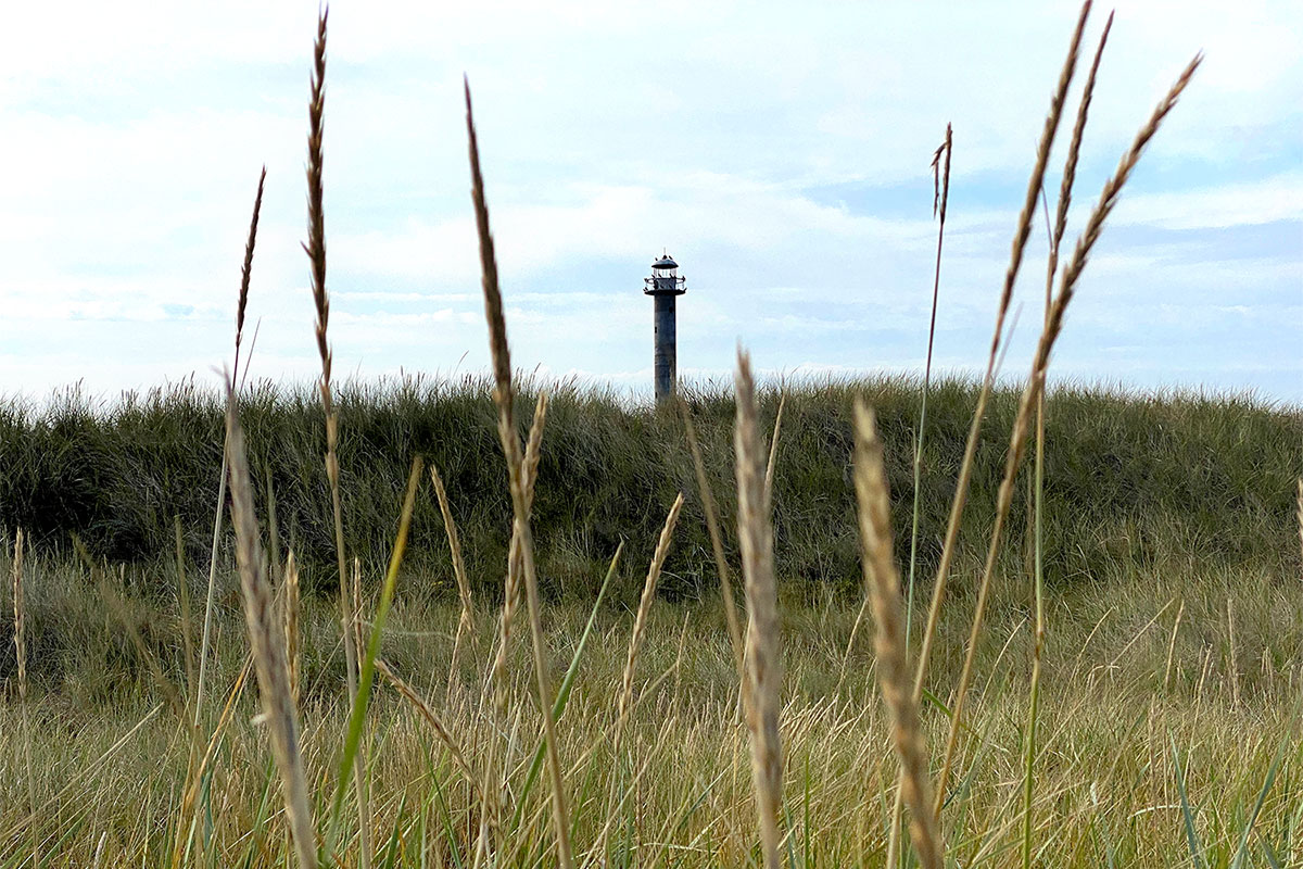 2022 Estland: Saaremaa: Vilsandi NP: Kiipsaare Leuchtturm (Foto: Andreas Kuhrt)