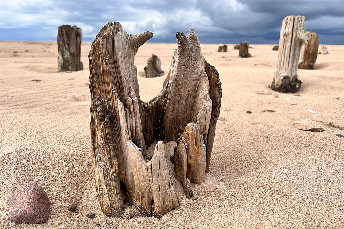 2022 Estland: Strand bei Rūgumi (Foto: Manuela Hahnebach)