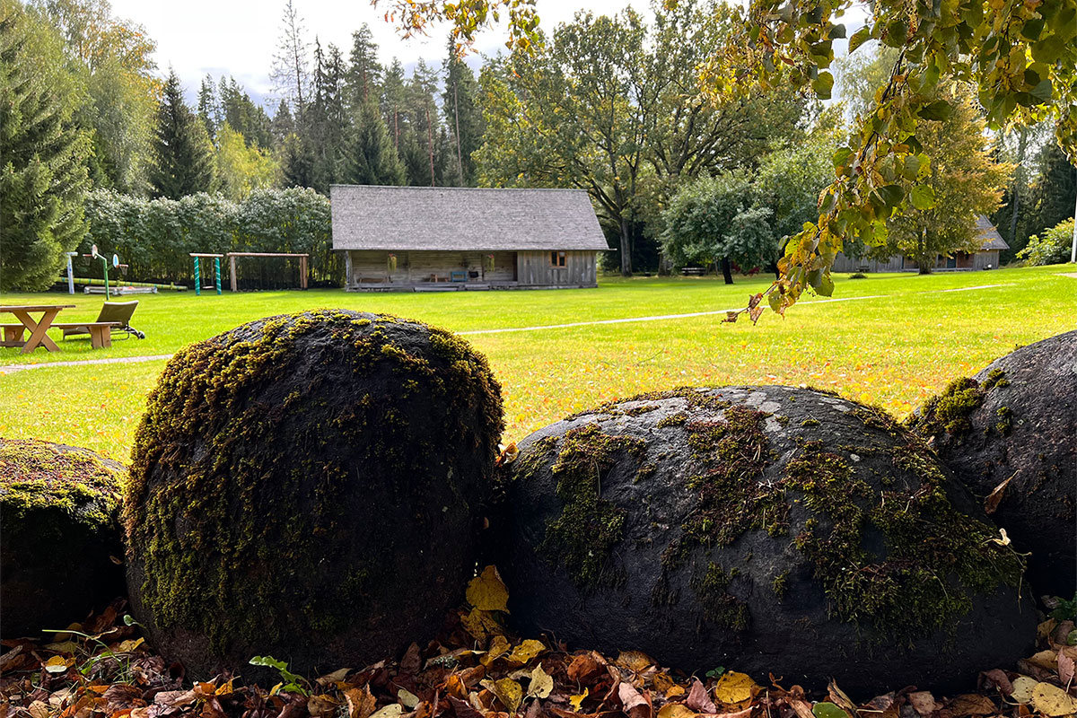 2022: Estland: Hof Männiku Metsatalu (Foto: Manuela Hahnebach)