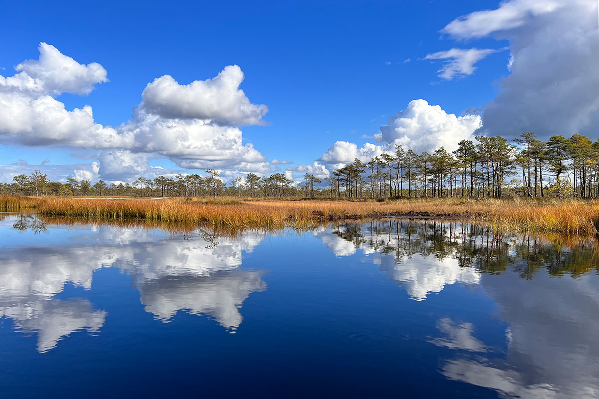 2022 Estland: Soomaa NP: Riisa-Moorsee (Foto: Manuela Hahnebach)