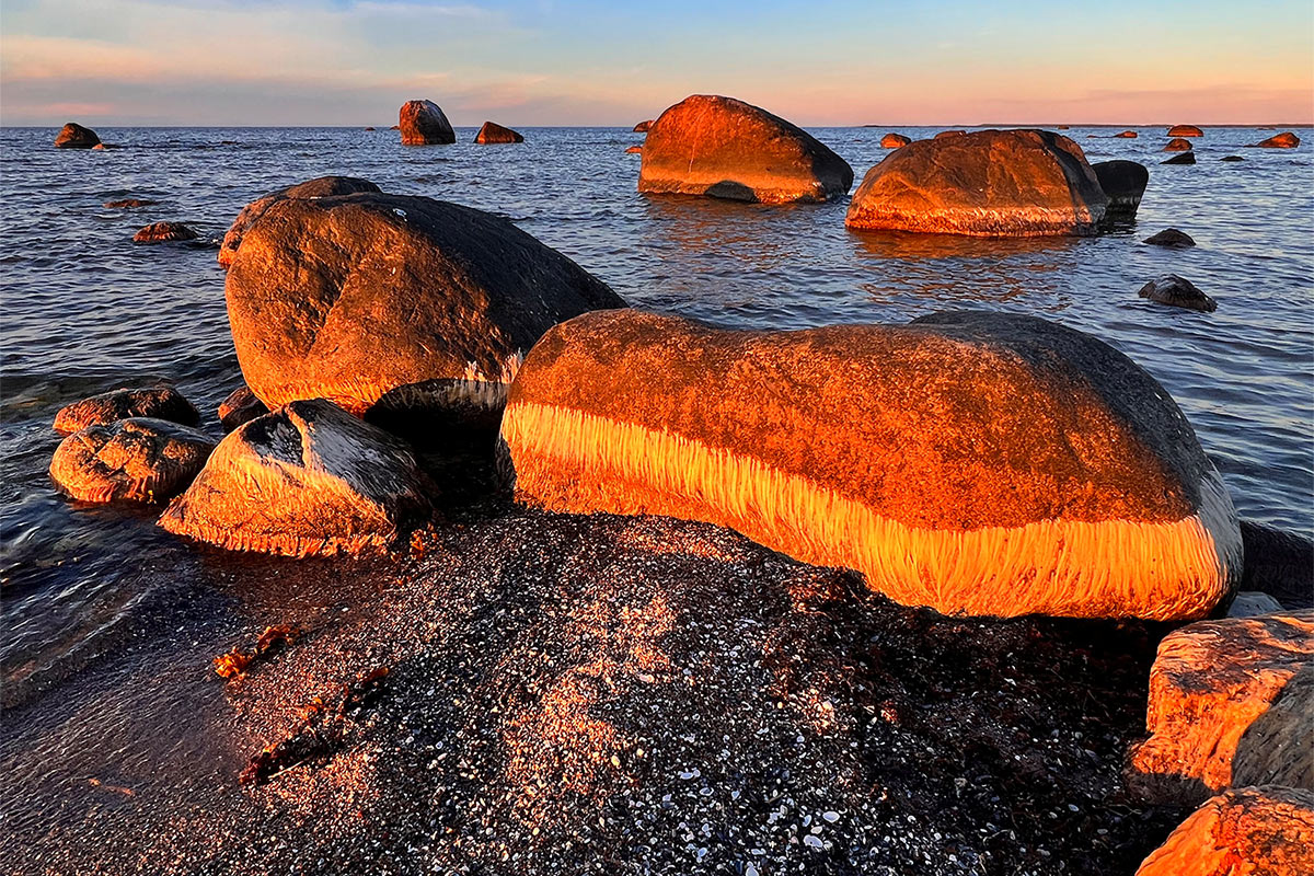 2022 Estland: Hiiumaa: Halbinsel Kõpu: Palli Strand (Foto: Manuela Hahnebach)