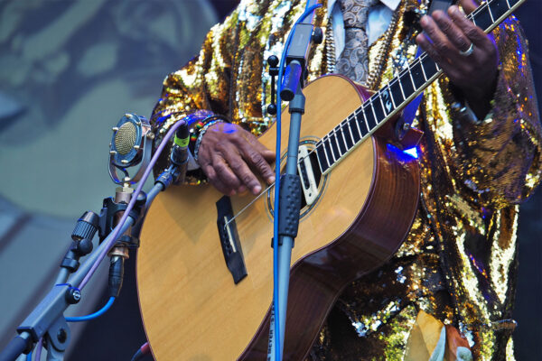 Rudolstadt Festival 2022: Brushy One String (Foto: Manuela Hahnebach)