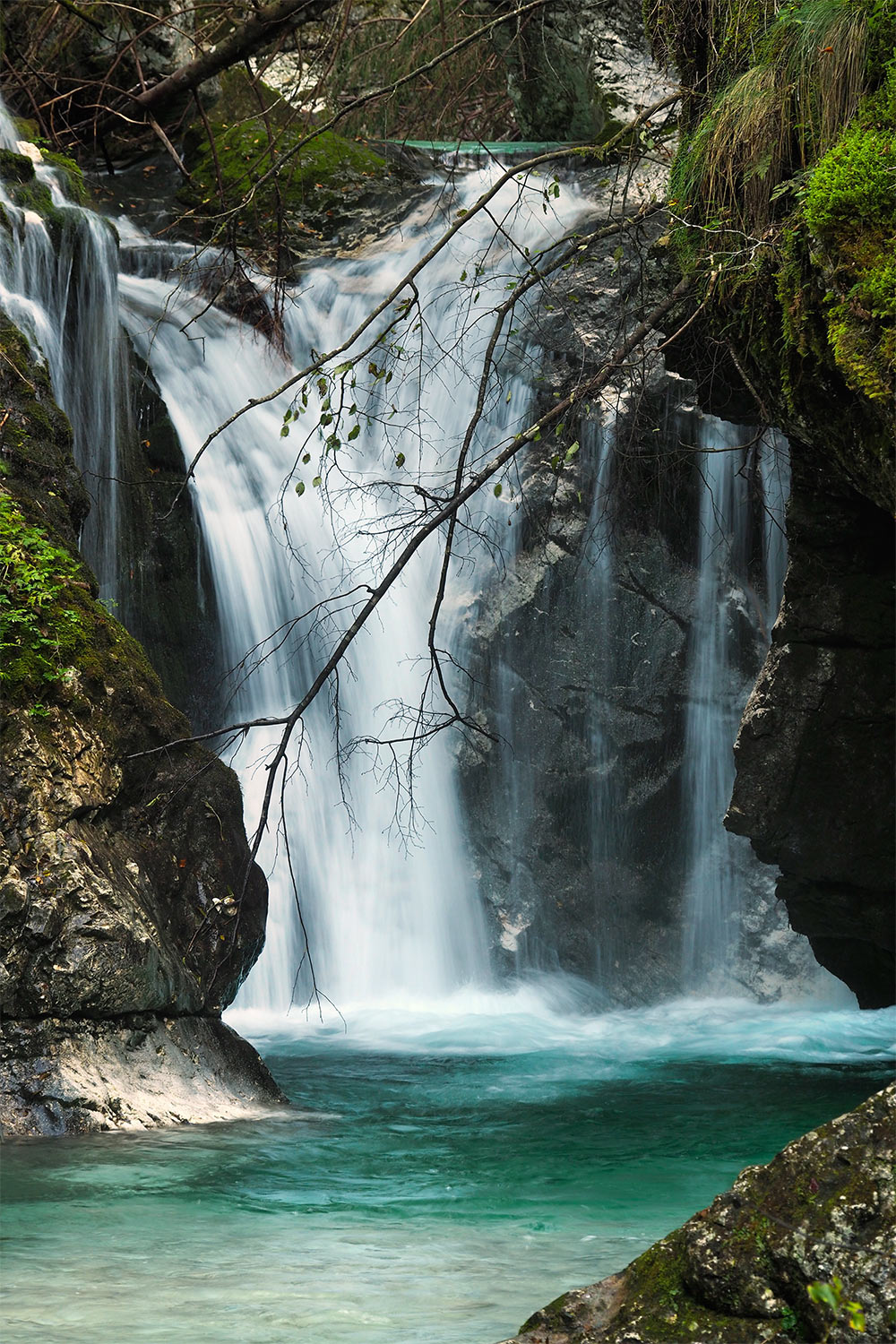 Tour Friaul 2023: Slowenien: im Šunik-Wasserhain (Foto: Manuela Hahnebach)