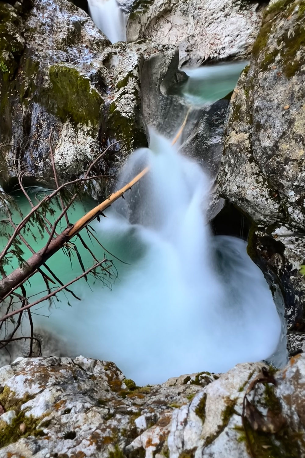 Tour Friaul 2023: Slowenien: im Šunik-Wasserhain (Foto: Manuela Hahnebach)