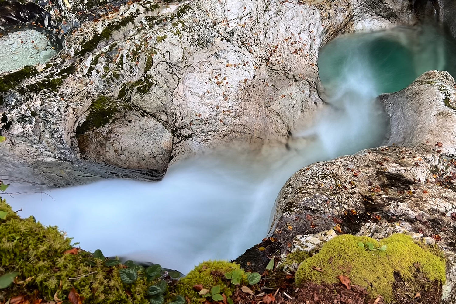 Tour Friaul 2023: Slowenien: im Šunik-Wasserhain (Foto: Manuela Hahnebach)