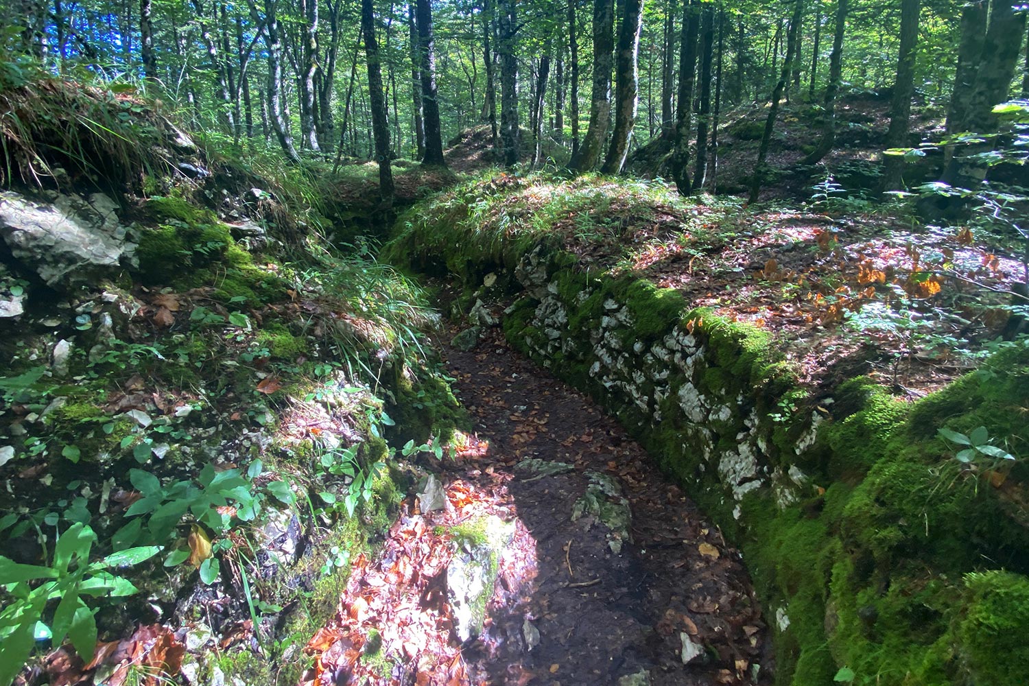 Tour Friaul 2023: Italienische Schützengräben des 1. Weltkriegs im Val Saisera (Foto: Andreas Kuhrt)