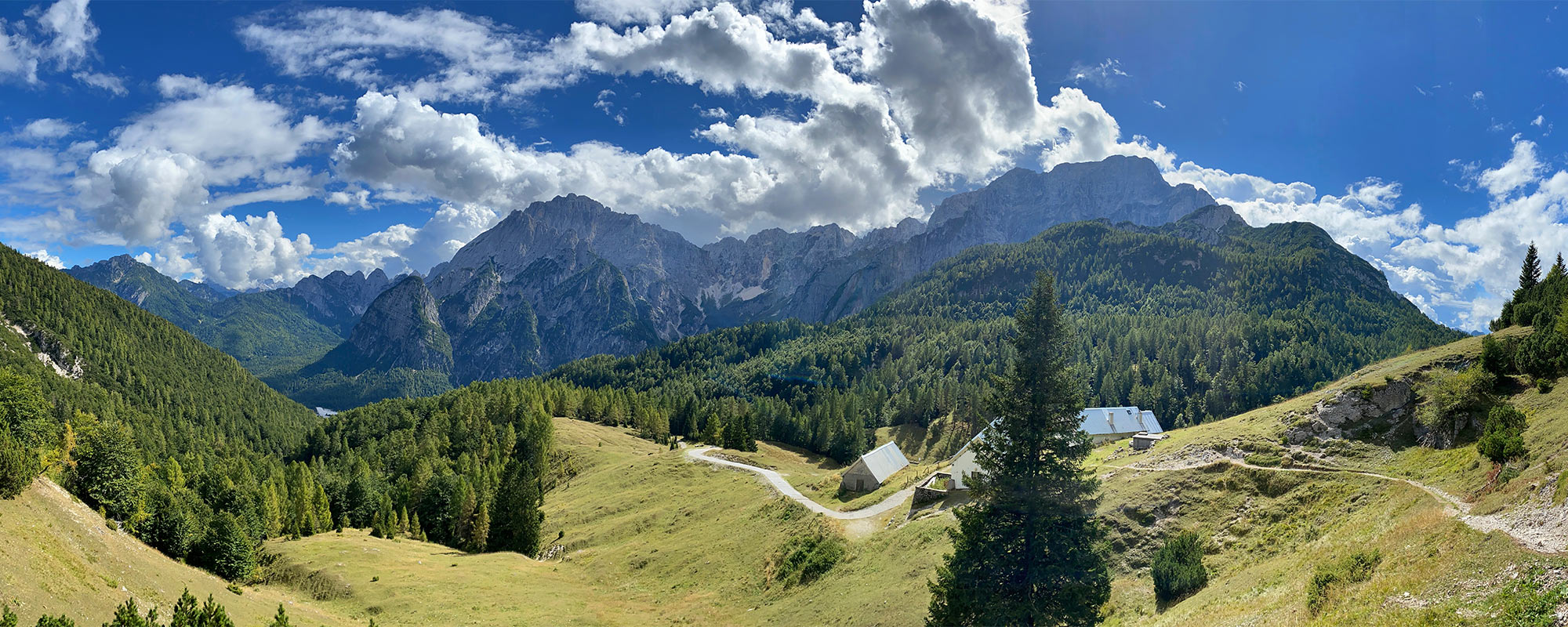 Tour Friaul 2023: Panoramablick über die Malga Somdogna zur Montasio-Kette (Foto: Andreas Kuhrt)