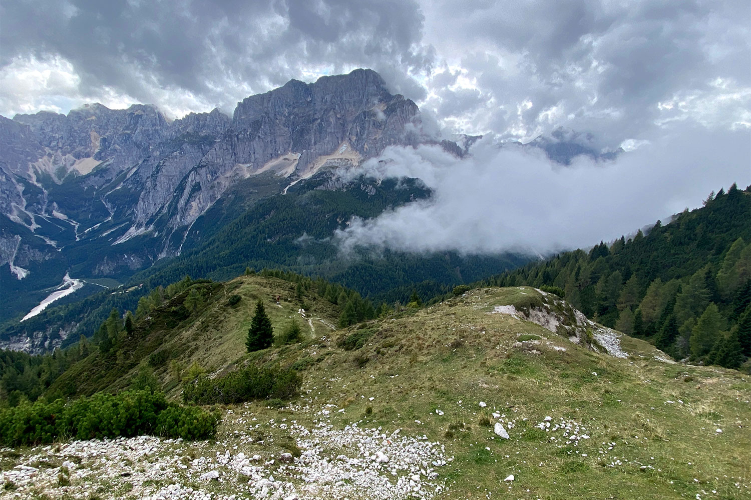 Tour Friaul 2023: am Miezegnot-Sattel: Blick zum Montasio (Foto: Andreas Kuhrt)