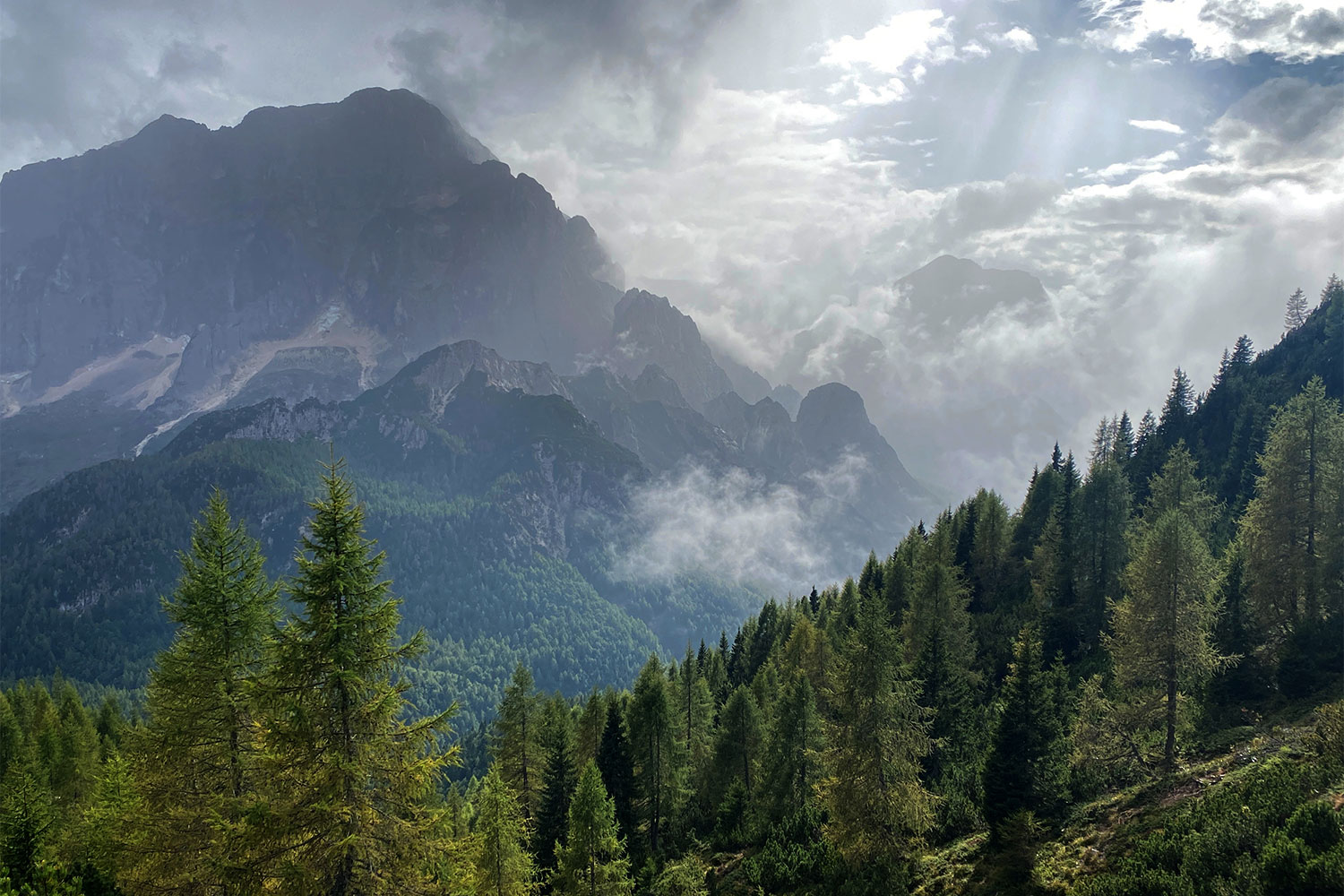 Tour Friaul 2023: Abstieg vom Miezegnot ins Val Dogna (Foto: Andreas Kuhrt)