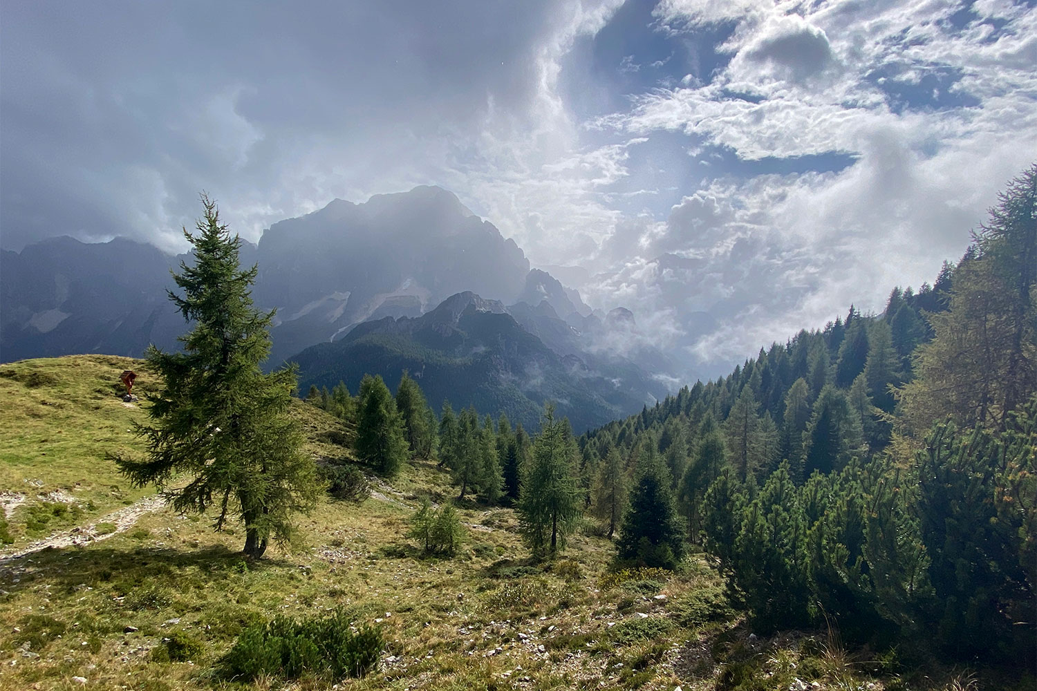 Tour Friaul 2023: Abstieg vom Miezegnot ins Val Dogna (Foto: Andreas Kuhrt)