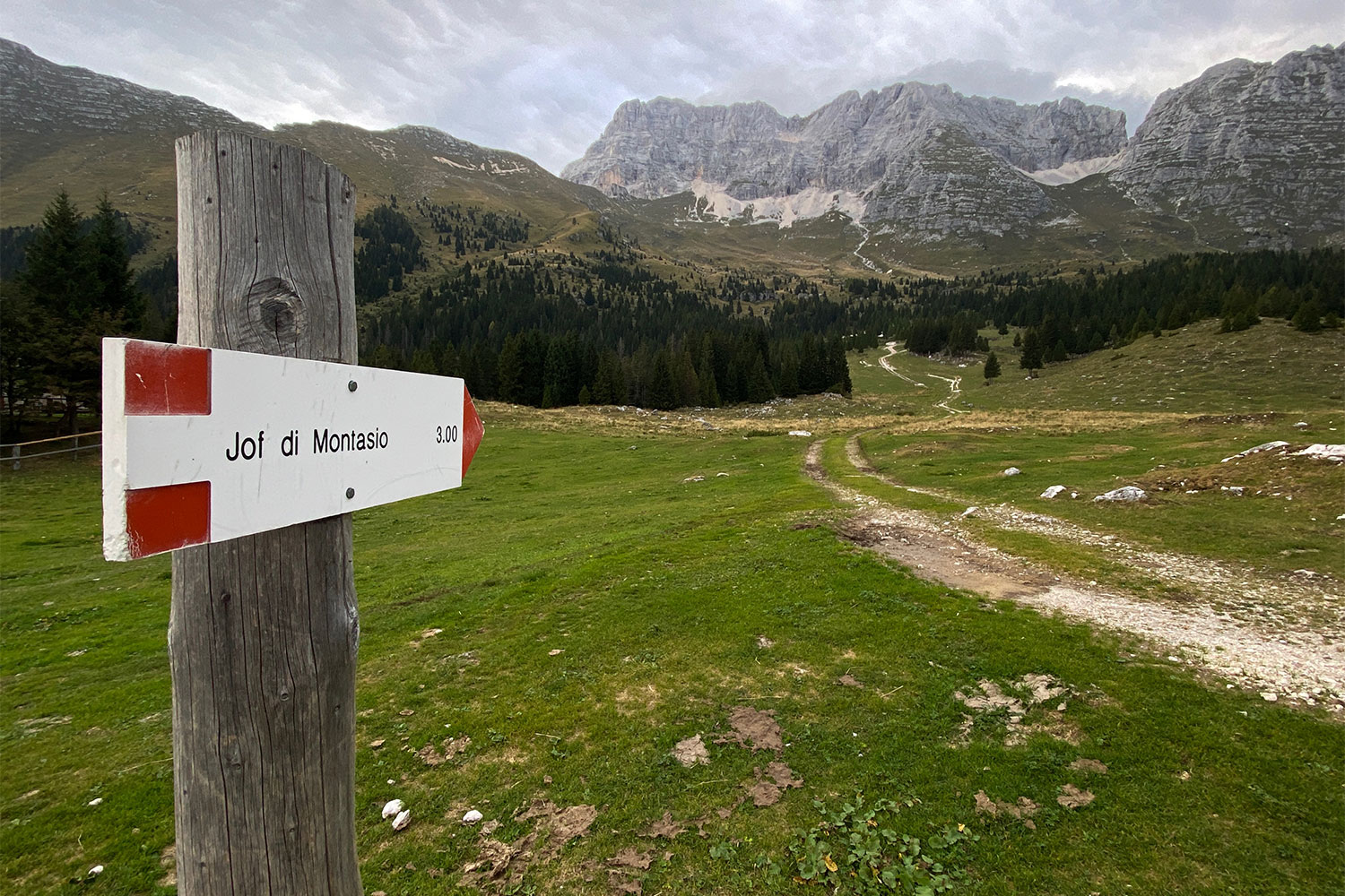 Tour Friaul 2023: auf dem Altopiano del Montasio (Foto: Andreas Kuhrt)