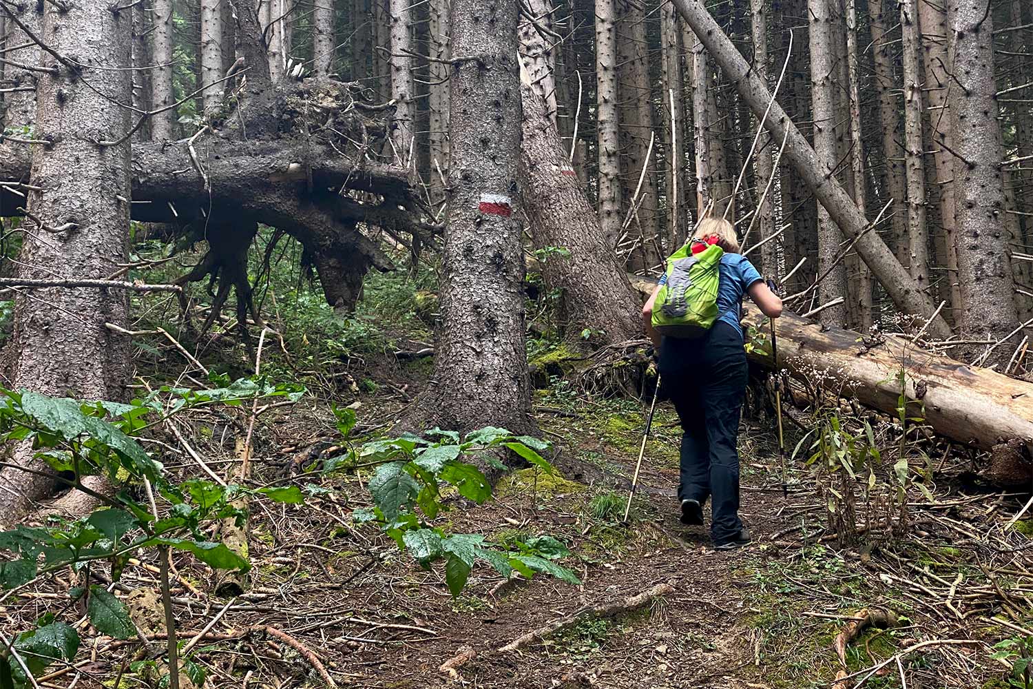 Tour Friaul 2023: Aufstieg zum Monte Lussari (Foto: Andreas Kuhrt)