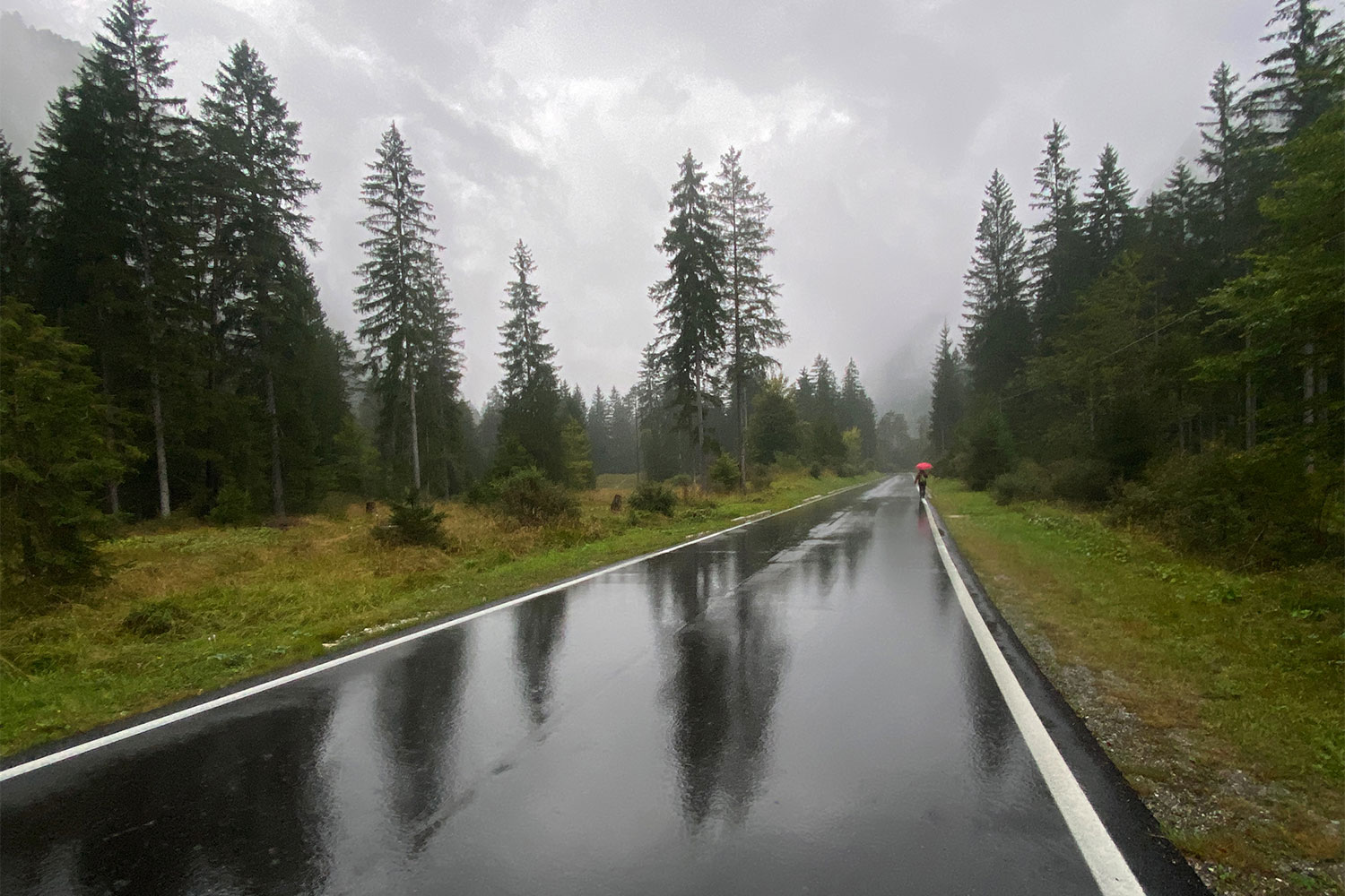 Tour Friaul 2023: Auf der Val-Saisera-Straße nach Valbruna (Foto: Andreas Kuhrt)