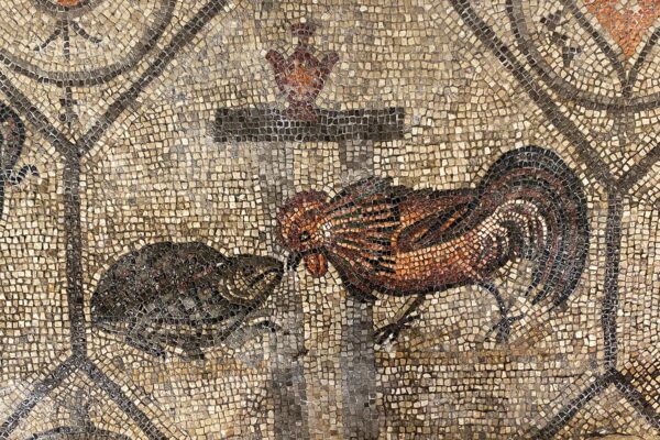 Tour Friaul 2023: Aquileia: Basilika Santa Maria Assunta: Mosaik Hahn und Schildkröte (Foto: Andreas Kuhrt)