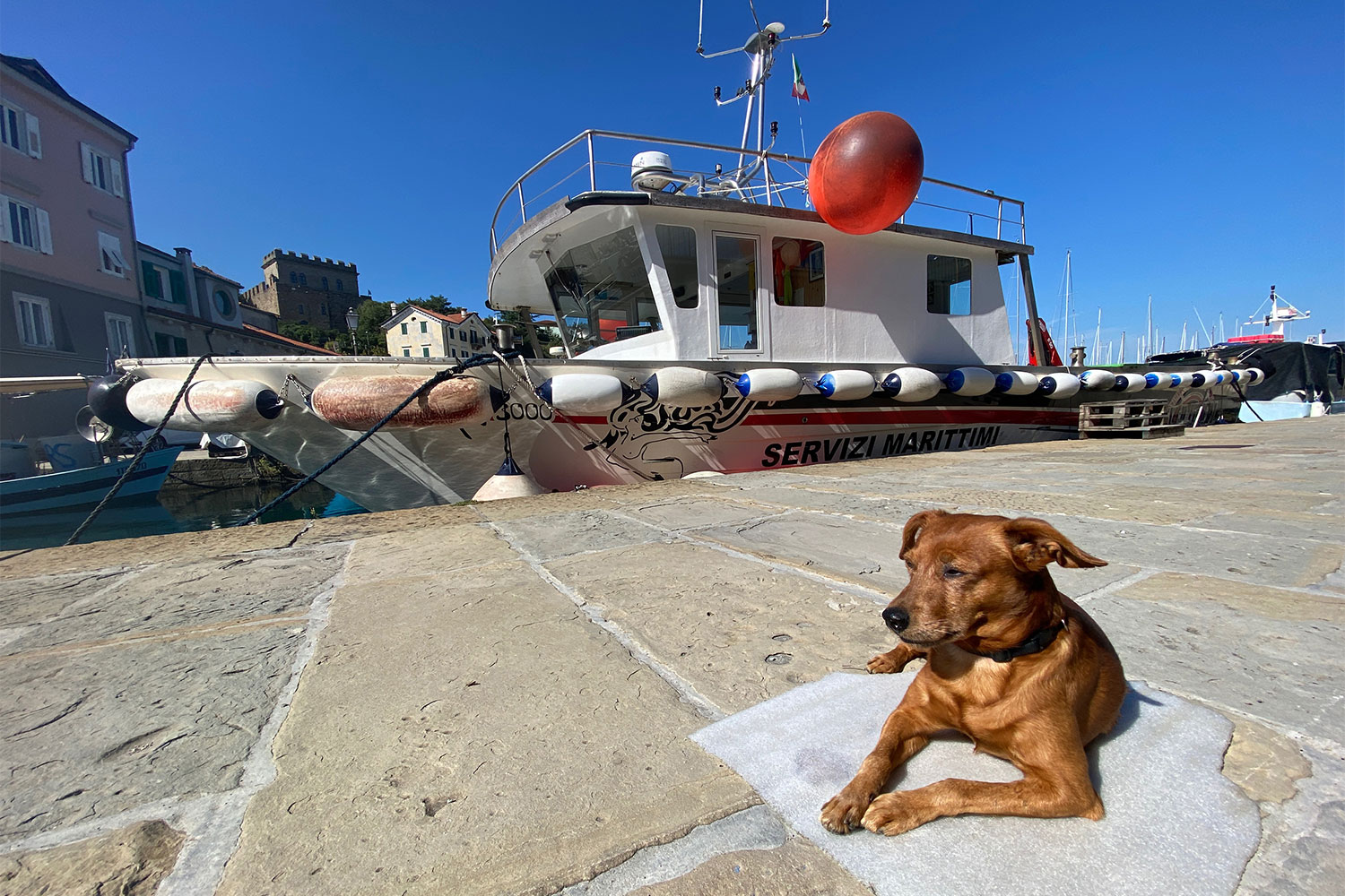 Tour Friaul 2023: Muggia: Molo Christoforo Colombo (Foto: Andreas Kuhrt)