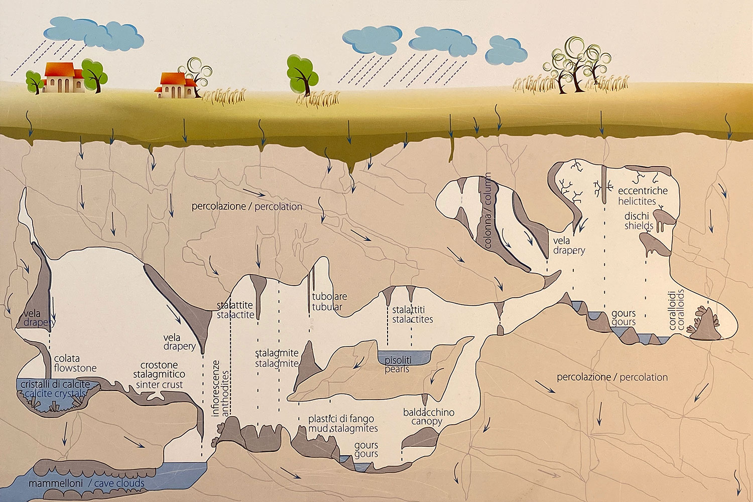 Tour Friaul 2023: Grotta Gigante: Infotafel Höhlenbildung (Foto: Andreas Kuhrt)