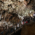 Tour Friaul 2023: Grotta Gigante: Abstieg (Foto: Andreas Kuhrt)
