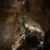 Tour Friaul 2023: Grotta Gigante: Pendel (Foto: Andreas Kuhrt)