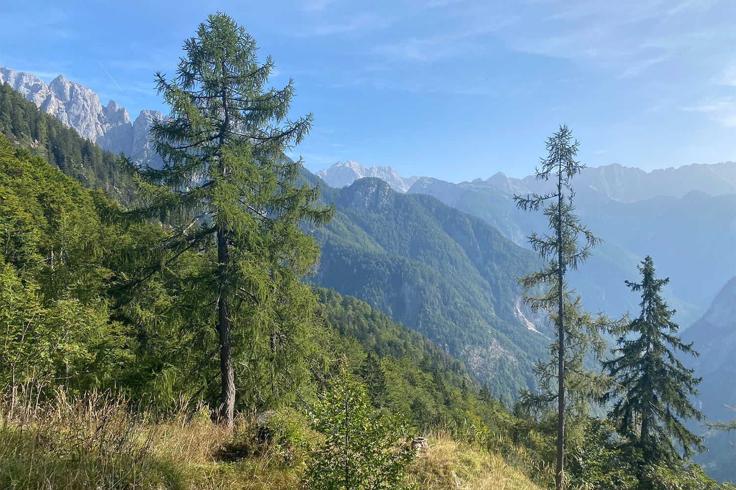 Tour Friaul 2023: Slowenien: Blick vom Aussichtspunkt Supca (Foto: Andreas Kuhrt)