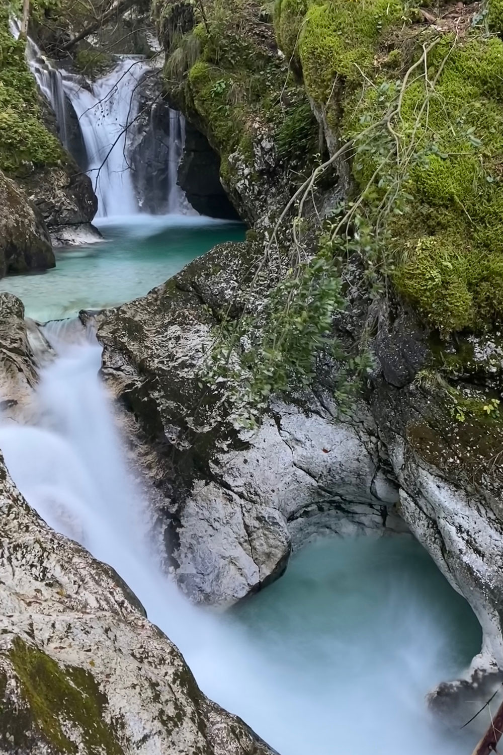 Tour Friaul 2023: Slowenien: im Šunik-Wasserhain (Foto: Andreas Kuhrt)